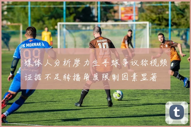 媒体人分析廖力生手球争议称视频证据不足转播角度限制因素显著