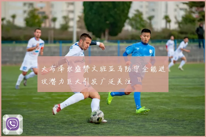 大布泽尔盛赞文班亚马防守全能进攻潜力巨大引发广泛关注
